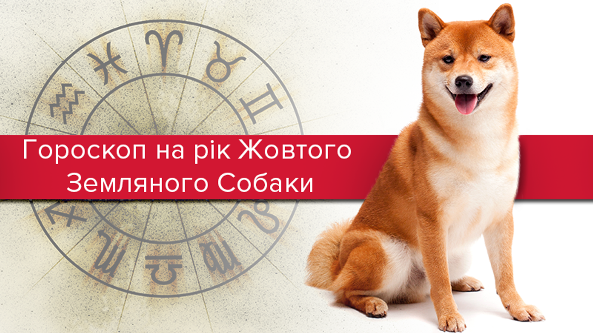 Гороскоп 2018: гороскоп на 2018 год по знакам Зодиака Гороскоп 2018: гороскоп на 2018 год по знакам Зодиака