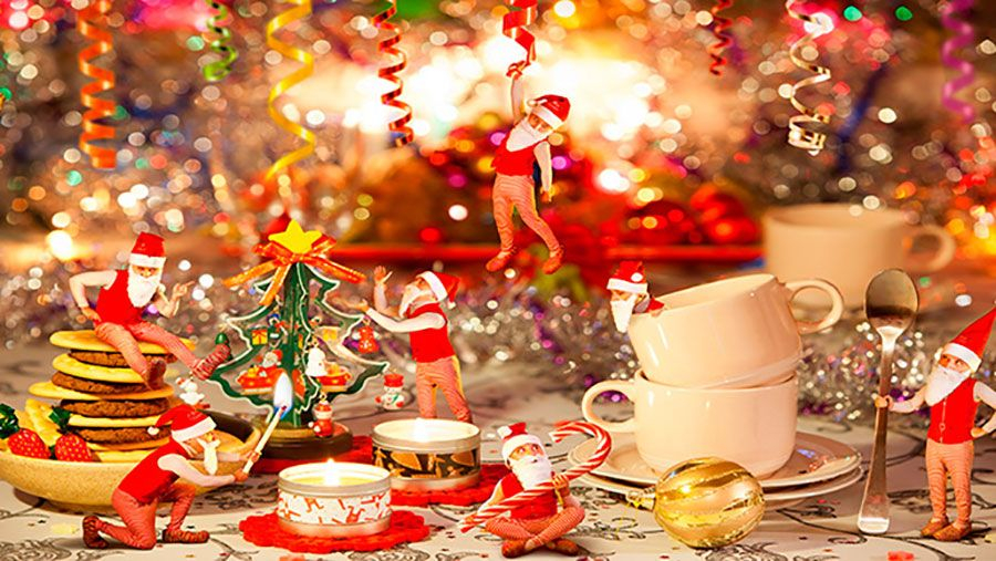 Как вы отпраздновали Новый год?