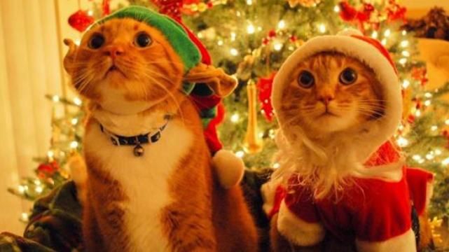 Что нельзя делать 1 января: комментарий народоведа Что нельзя делать 1 января: комментарий народоведа