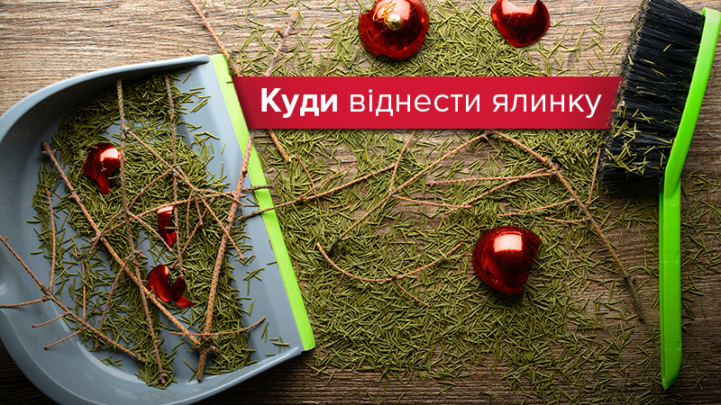 Куди віднести ялинку після свят у Києві та Львові: карта Куди віднести ялинку після свят у Києві та Львові: карта