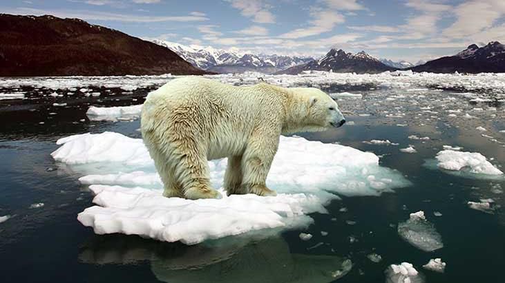 Над світом нависла дуже і дуже серйозна проблема, – український еколог про прогнози Хокінга Над світом нависла дуже і дуже серйозна проблема, – український еколог про прогнози Хокінга