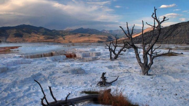 Ученые предупредили об исчезновении человечества вследствие климатических изменений Ученые предупредили об исчезновении человечества вследствие климатических изменений