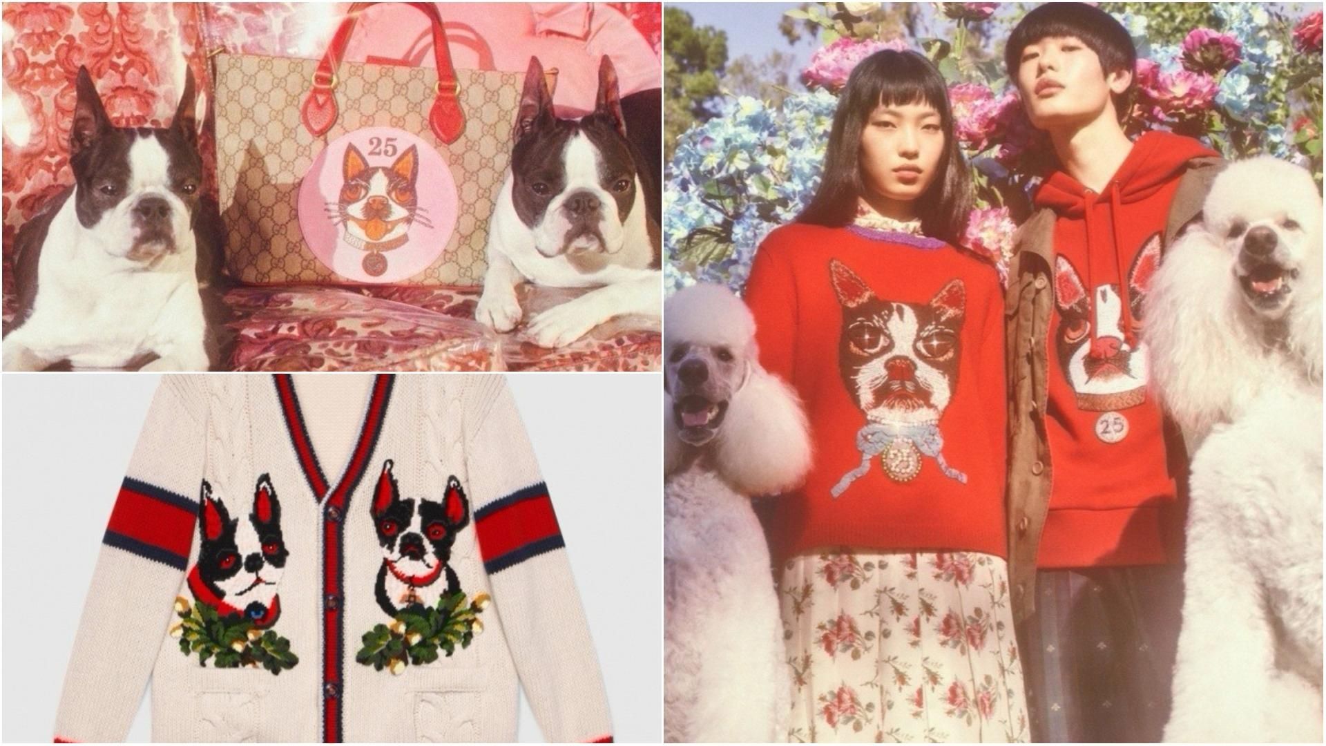 Gucci посвятили стильную коллекцию собакам: яркая фотогалерея Gucci посвятили стильную коллекцию собакам: яркая фотогалерея