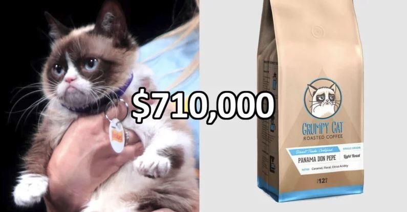 Господарі злої кішки Grumpy Cat виграли суд з приводу авторських прав