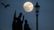 Лунное затмение 31 января: опубликовали первые фото "голубого кровавого суперлуния"