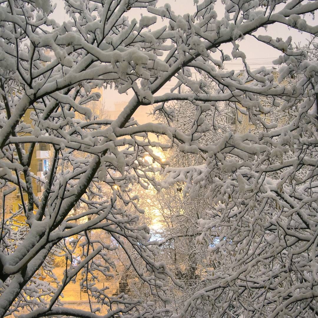 Самый сильный снегопад за зиму обрушился на Москву: красноречивые фото