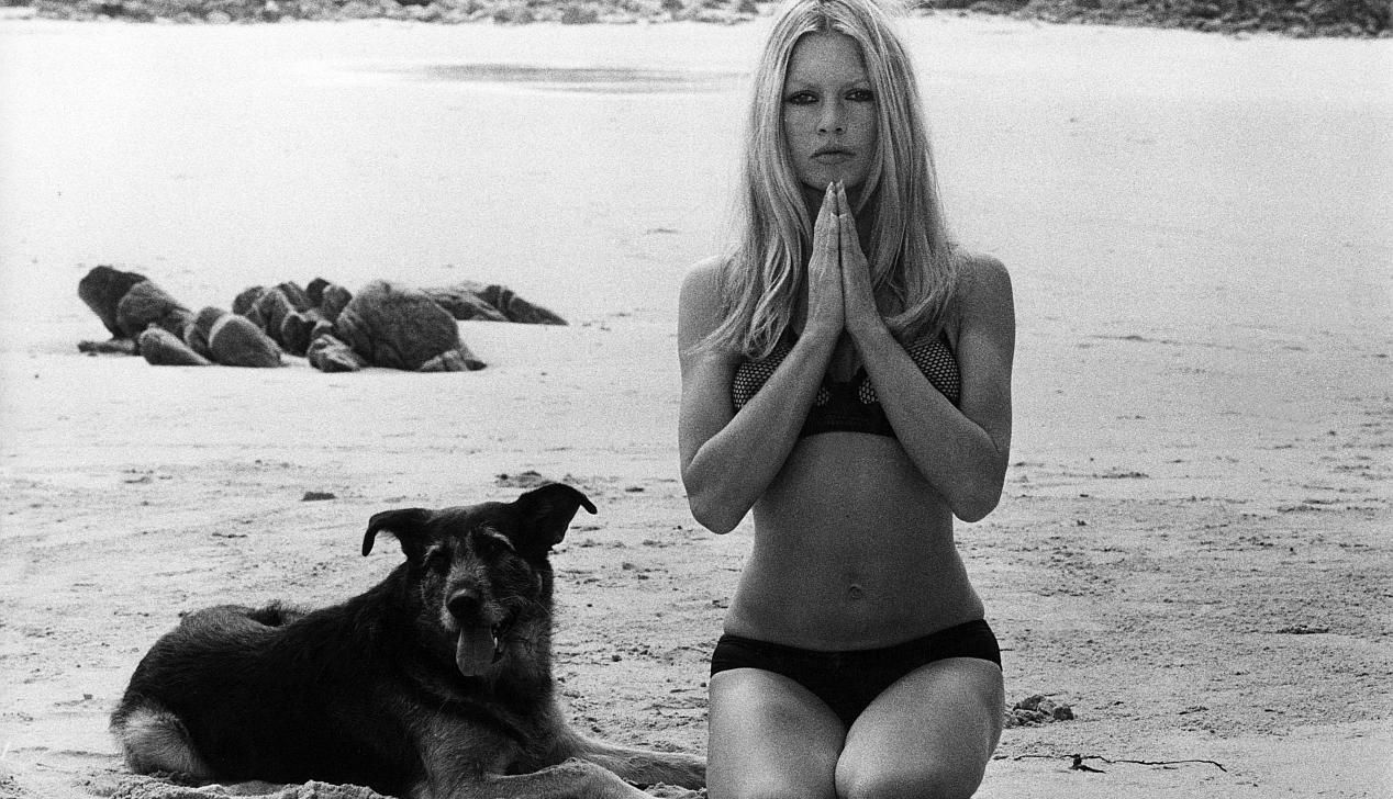 Приймаючи це масове вбивство, ви сприяєте варварству, – легенда кіно звернулася до Путіна Приймаючи це масове вбивство, ви сприяєте варварству, – легенда кіно звернулася до Путіна