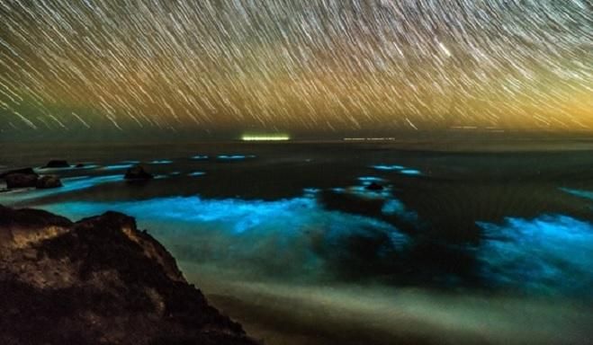 У побережья Калифорнии засиял океан: невероятные фото
