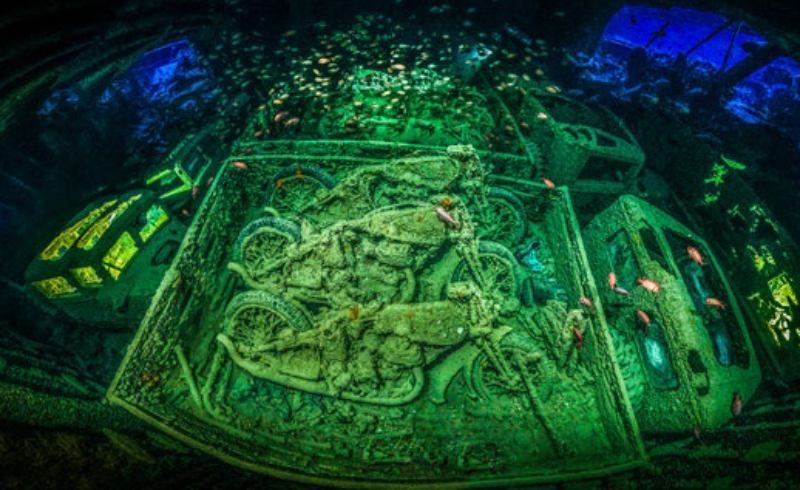 Лучшие подводные фотографии года по версии престижного конкурса: фоторепортаж из глубины Лучшие подводные фотографии года по версии престижного конкурса: фоторепортаж из глубины