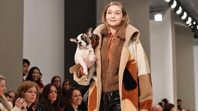 На показі бренду Tod's моделі вийшли на подіум з цуценятами: милі фото На показі бренду Tod's моделі вийшли на подіум з цуценятами: милі фото