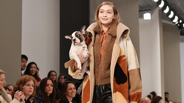 На показе бренда Tod's модели вышли на подиум с щенками: милые фото