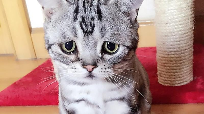 Пессимизм может быть полезным, – ученые