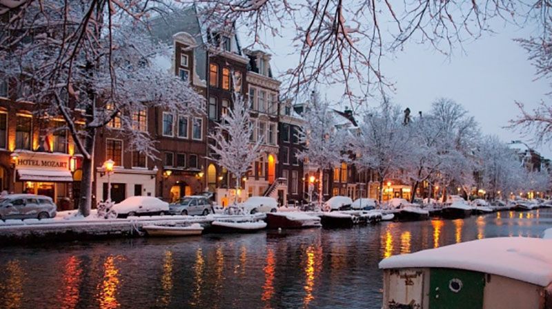 С цветами и снегом: как выглядит Амстердам в первый день весны