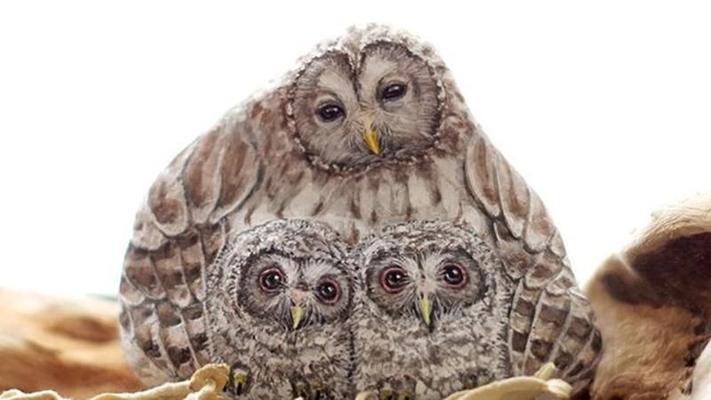 Художниця зробила реалістичні малюнки тварин на камінні: неймовірні фото Художниця зробила реалістичні малюнки тварин на камінні: неймовірні фото