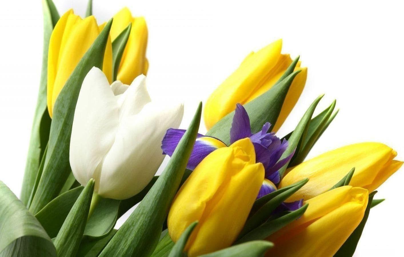 Что подарить девушке на 8 марта 2020 – подарки девушке на 8 марта Что подарить девушке на 8 марта 2020 – подарки девушке на 8 марта