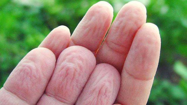 Почему в воде морщатся пальцы – неожиданное исследование
