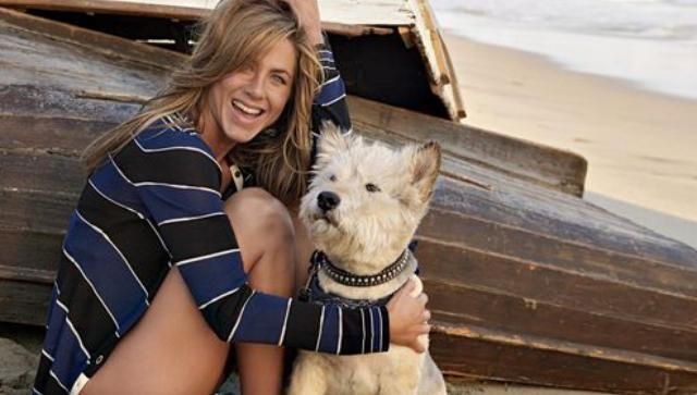 Дженнифер Энистон и Джастин Теру после развода поделят домашних любимцев Дженнифер Энистон и Джастин Теру после развода поделят домашних любимцев