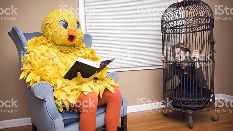 Самые странные фото из стоков, которые поражают нелепостью Самые странные фото из стоков, которые поражают нелепостью