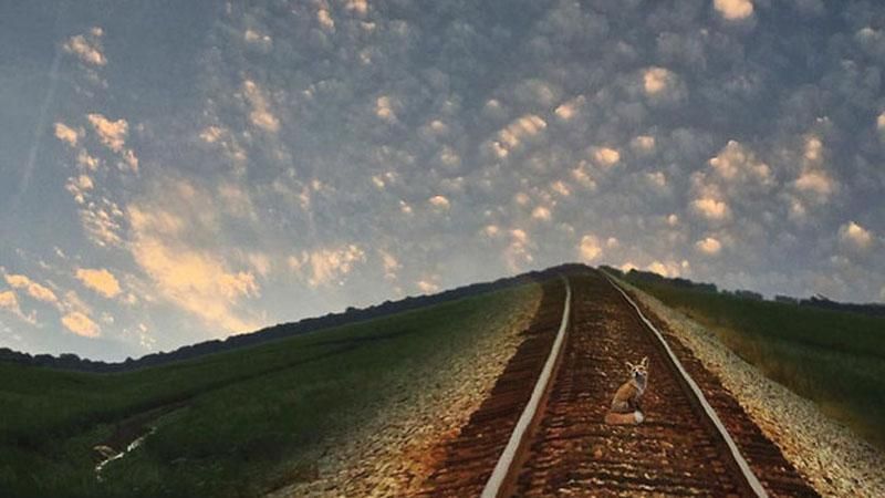 Американка создает сказочные фотографии с помощью смартфона: удивительные снимки