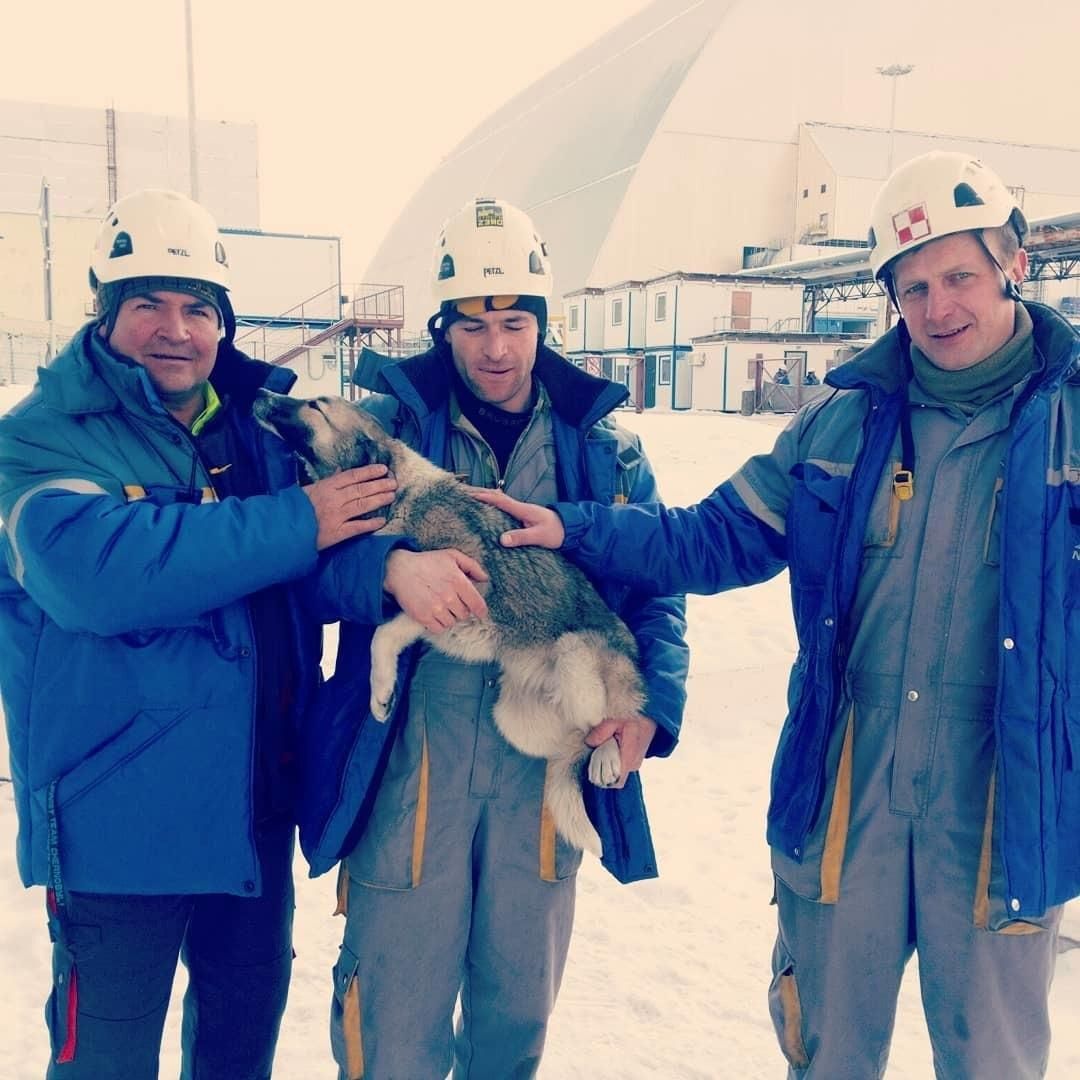 Впечатляющее спасение: работники сняли собаку с 100 метрового саркофага над Чернобыльской АЭС