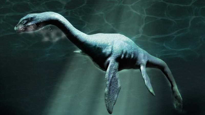 На узбережжі США знайшли загадкову морську істоту, подібну до Лохнеського чудовиська: фото На узбережжі США знайшли загадкову морську істоту, подібну до Лохнеського чудовиська: фото