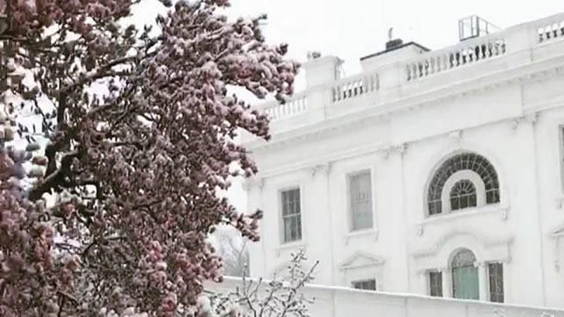 Сніг та квіти: Іванка Трамп показала, як виглядає подвір'я Білого дому