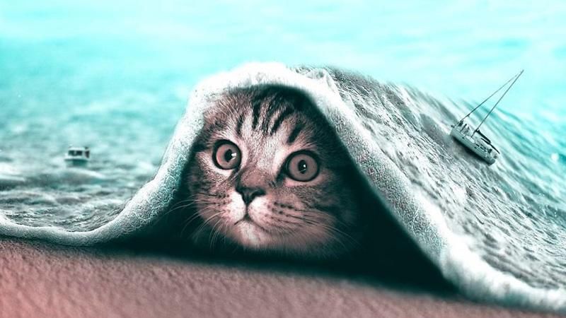 Художник за допомогою Photoshop створює фантастичних тварин: неймовірні знімки Художник за допомогою Photoshop створює фантастичних тварин: неймовірні знімки