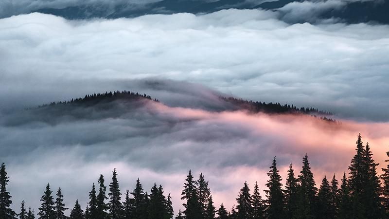 Молодий фотограф показав дивовижні знімки засніжених Карпат Молодий фотограф показав дивовижні знімки засніжених Карпат