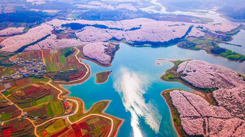 Цвет вишни превратил Китай в сказочную страну: невероятные фото и видео