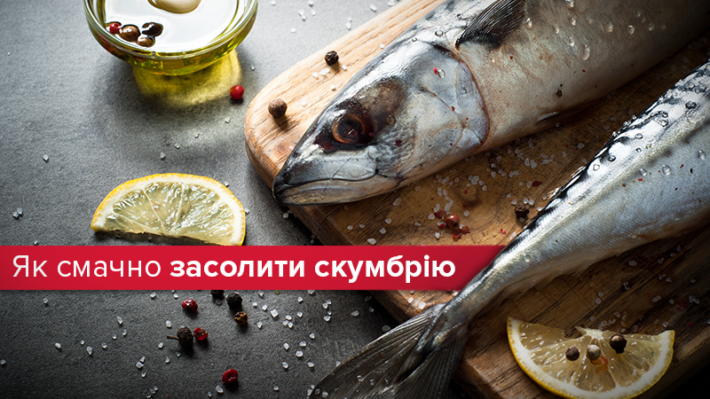 Как вкусно и быстро засолить скумбрию: рецепт приготовления