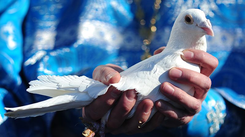 З Благовіщенням 2019 - привітання з Благовіщенням Пресвятої Богородиці 7 квітня 2019 З Благовіщенням 2019 - привітання з Благовіщенням Пресвятої Богородиці 7 квітня 2019