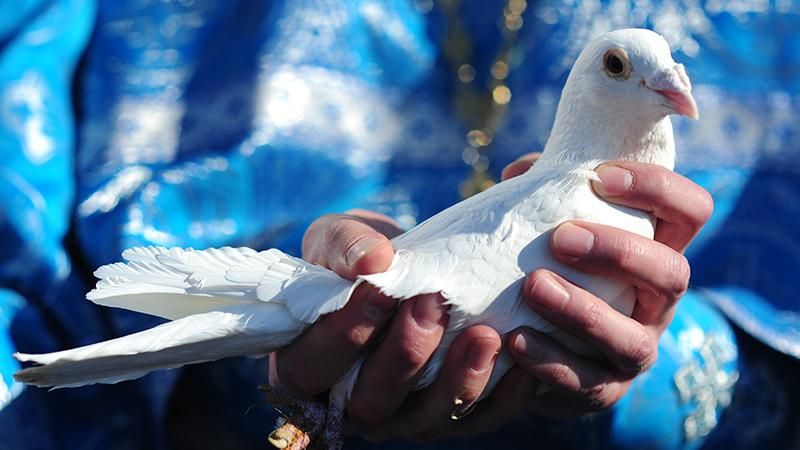 С Благовещением 2019 - поздравления с Благовещением Пресвятой Богородицы 7 апреля 2019 С Благовещением 2019 - поздравления с Благовещением Пресвятой Богородицы 7 апреля 2019
