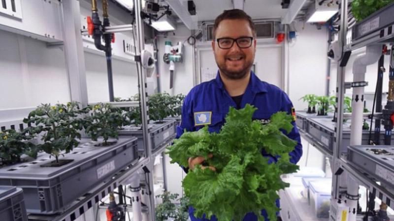 Ученые вырастили овощи в Антарктиде: захватывающие фото