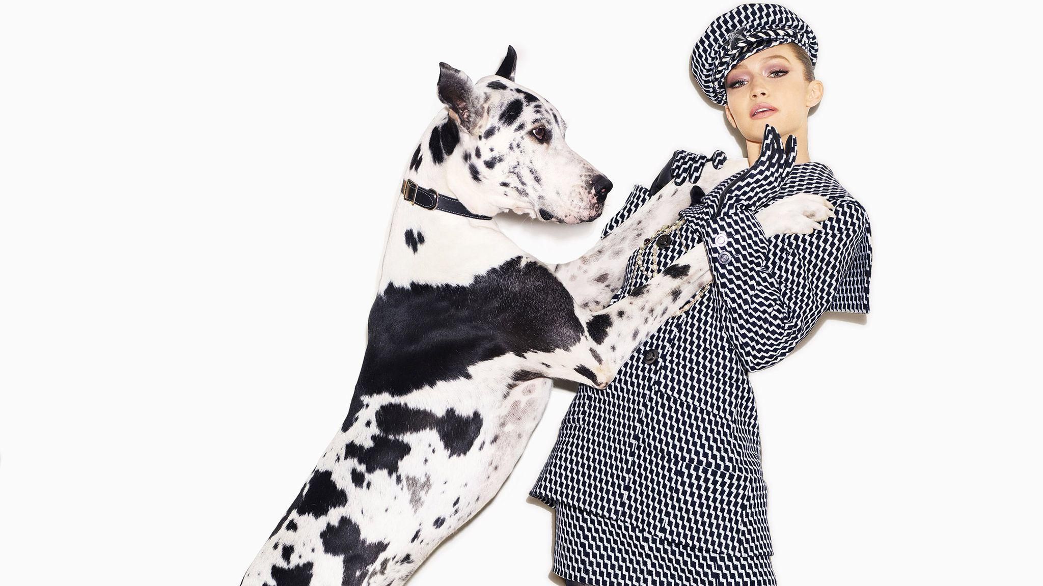 Джіджі Хадід знялась у яскравому фотосеті для модного глянцю: фото Джіджі Хадід знялась у яскравому фотосеті для модного глянцю: фото