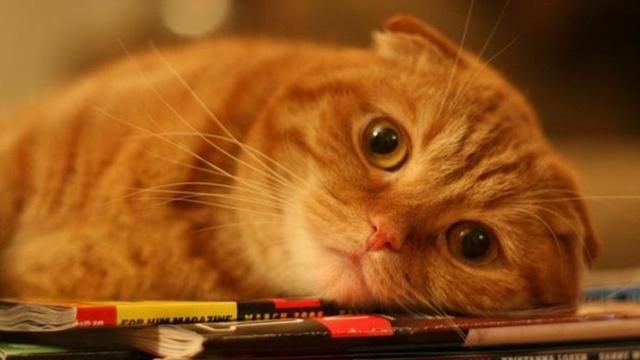 Что делать когда скучно дома одному на карантине – лайфхаки Что делать когда скучно дома одному на карантине – лайфхаки