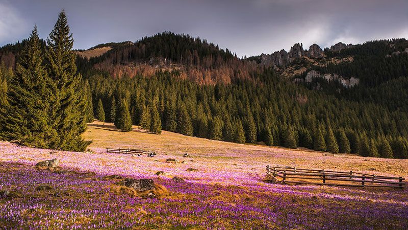 Удивительные горы в Польше покорили своей красотой: весенние фото Удивительные горы в Польше покорили своей красотой: весенние фото