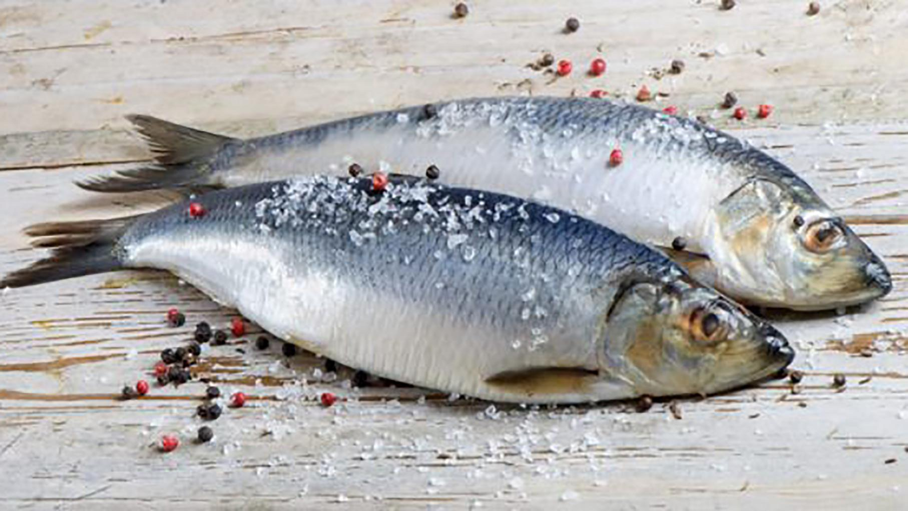 Как правильно размораживать рыбу