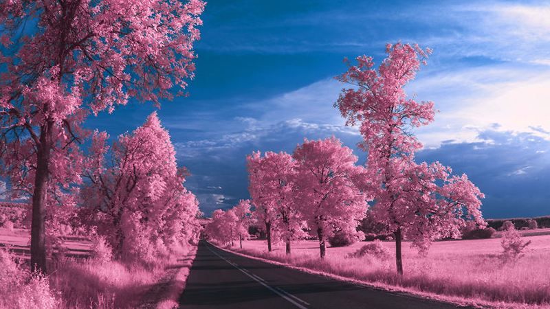 Польша через инфракрасный диапазон: фотограф создал удивительную серию снимков Польша через инфракрасный диапазон: фотограф создал удивительную серию снимков