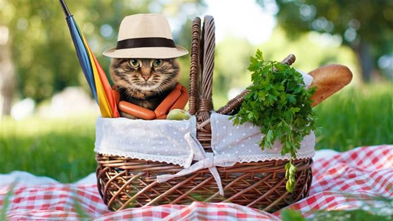 Куди піти у Києві на вихідних: афіша на 4-6 травня Куди піти у Києві на вихідних: афіша на 4-6 травня