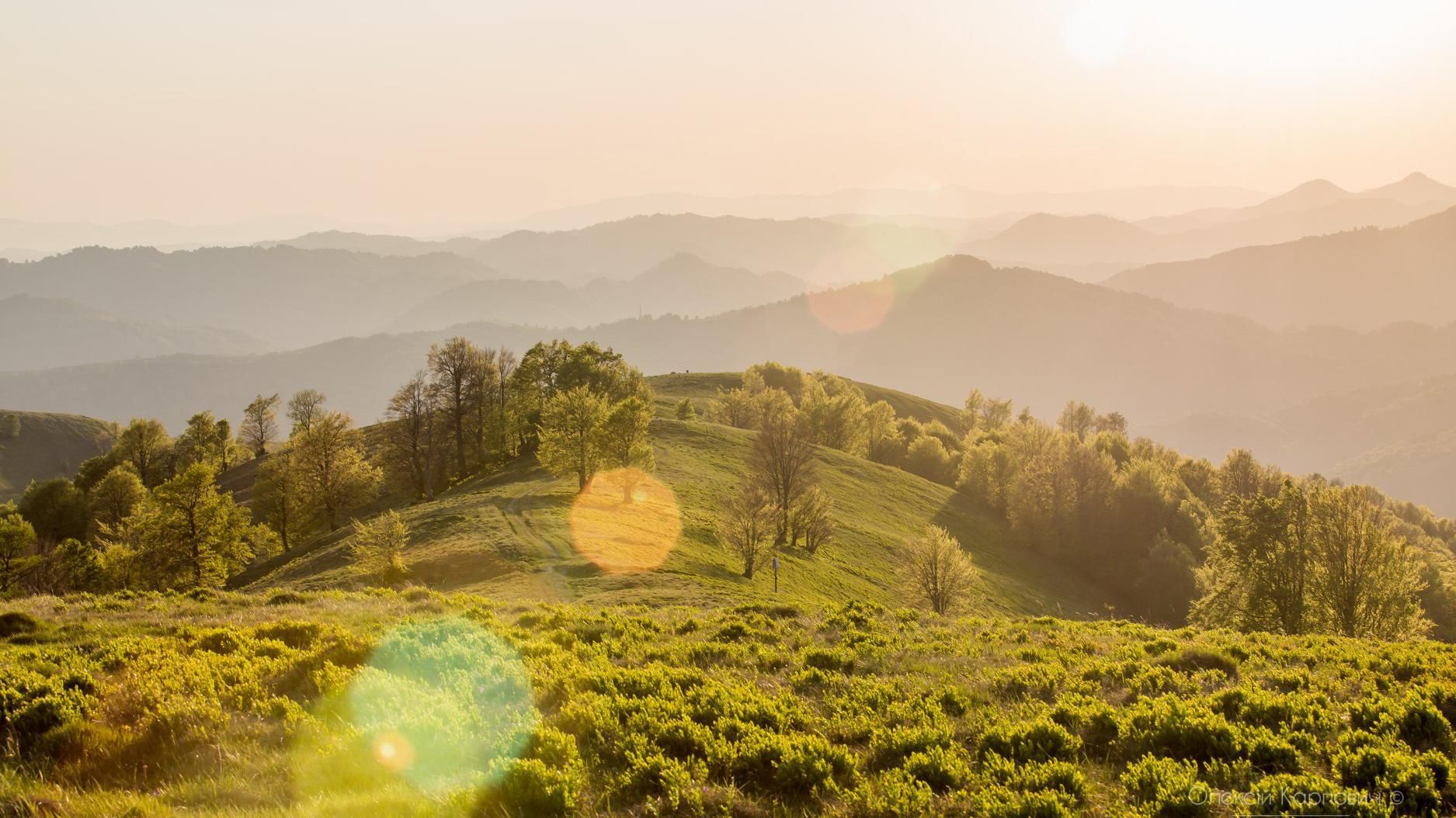 В сети показали весенние пейзажи Карпат: удивительные, захватывающие фото