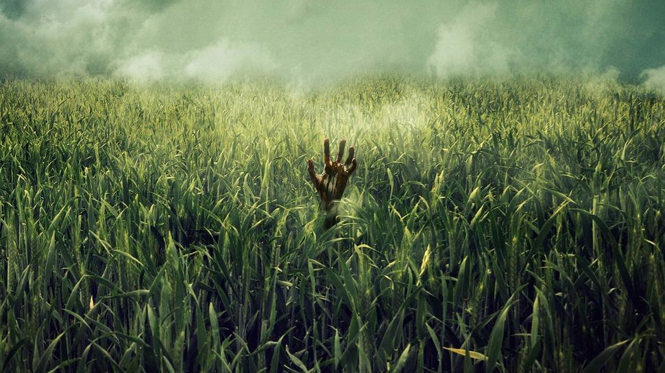 "У високій траві": Netflix взялись за екранізацію книги Стівена Кінга