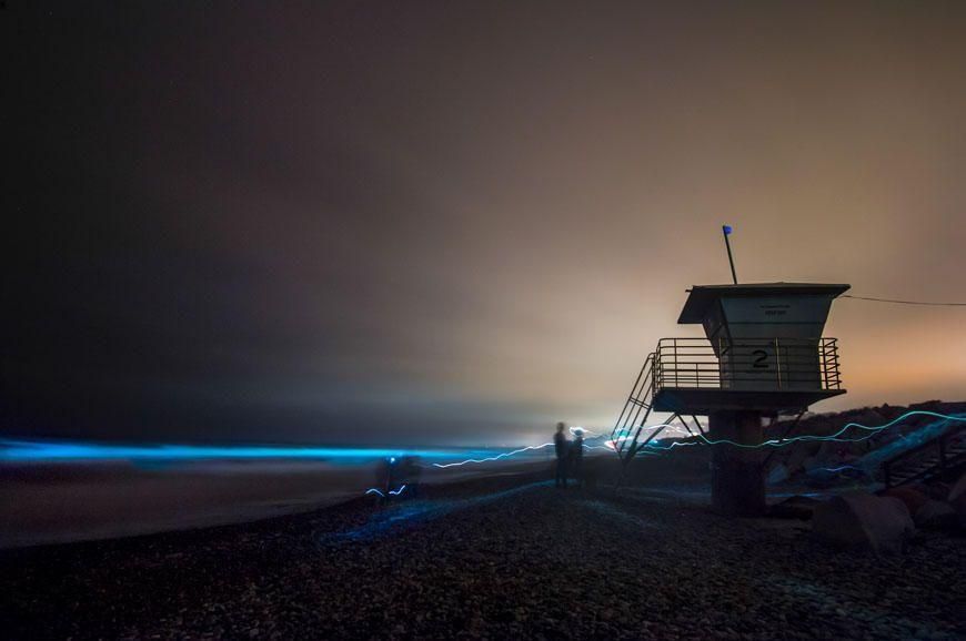 В Калифорнии засветился океан: сказочные кадры необычного явления