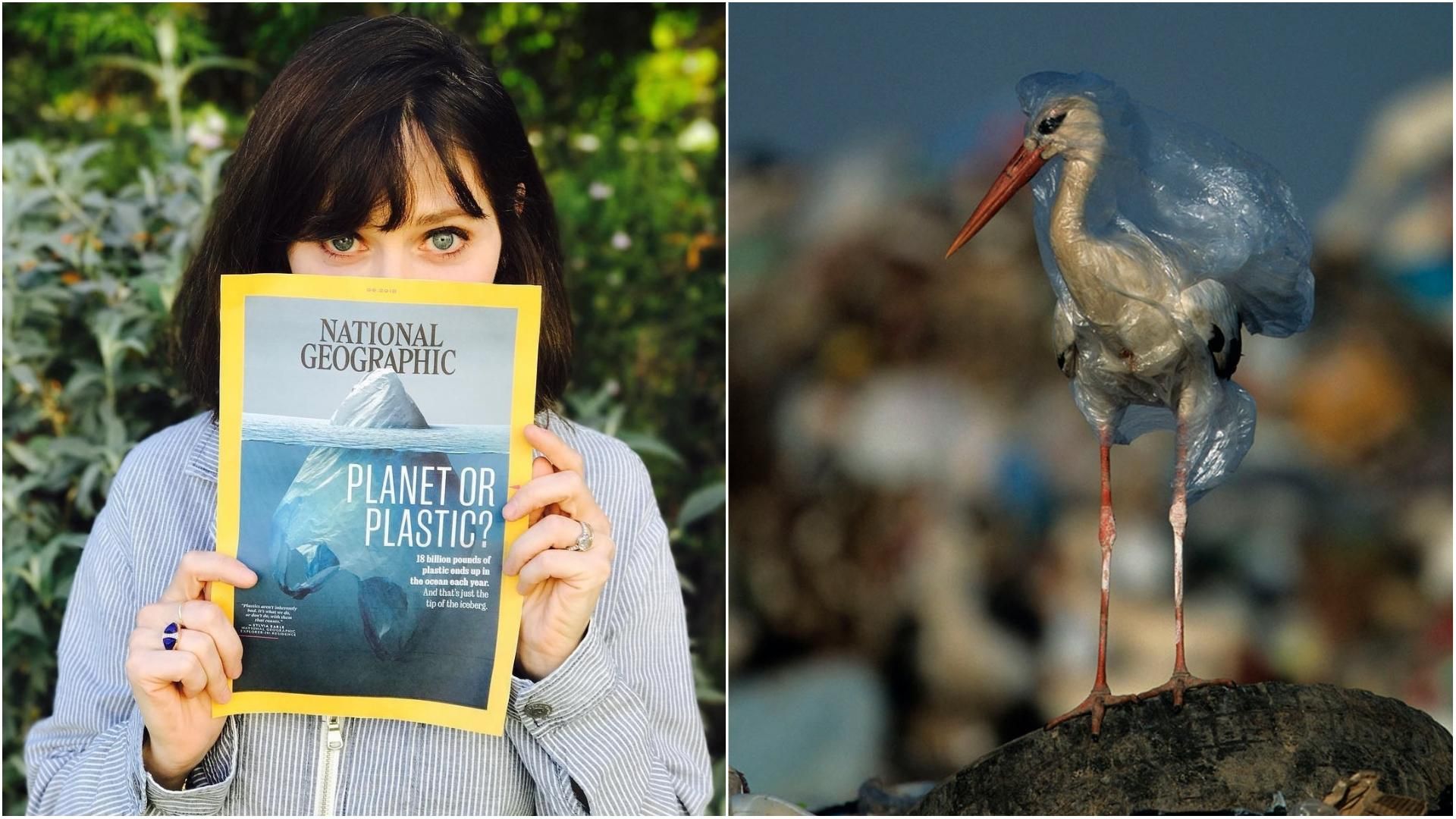 Именитое издание шокировало обложкой и фотографиями животных, которые погибают в пластике