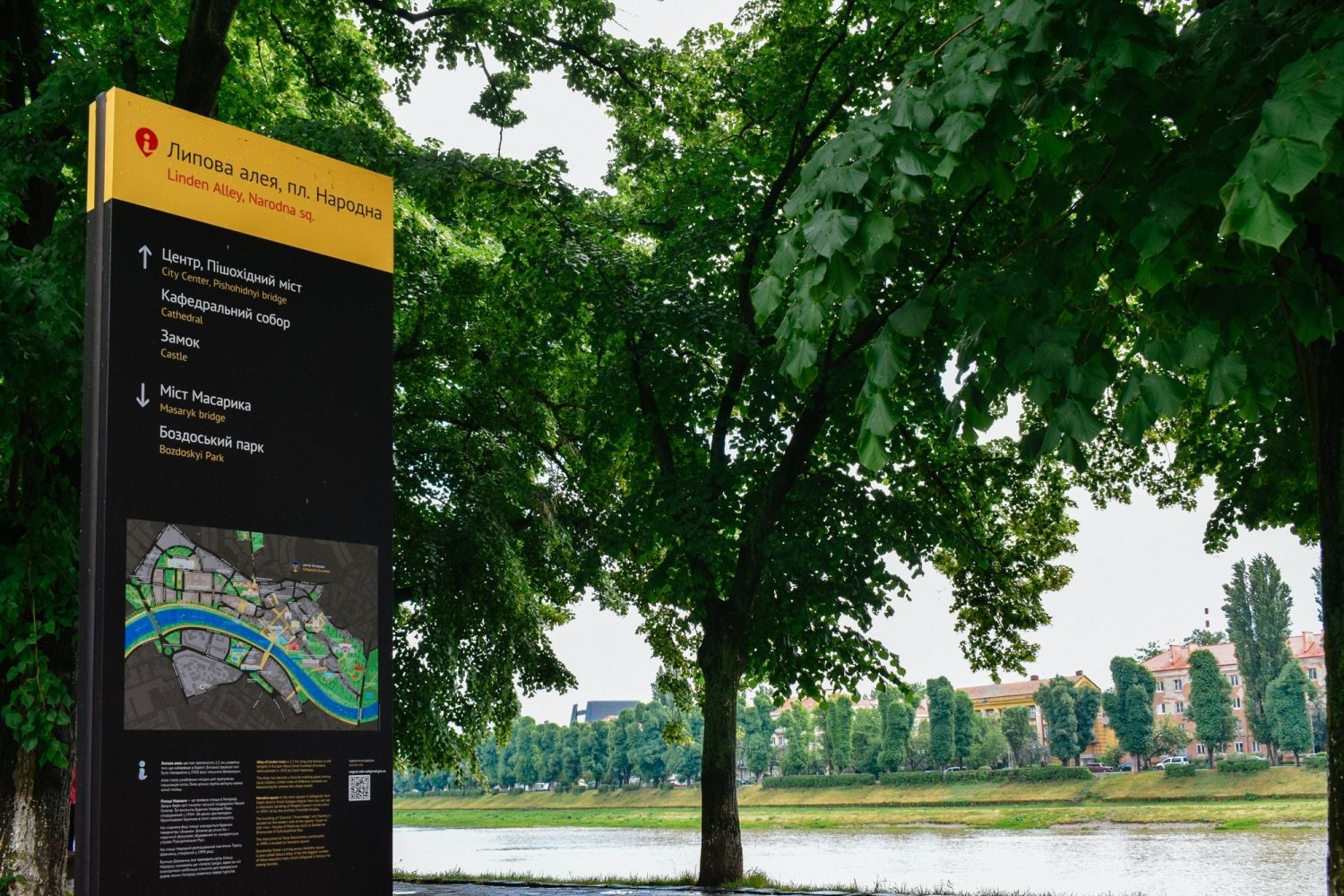 В Ужгороде зацвела самая длинная липовая аллея: невероятные фото В Ужгороде зацвела самая длинная липовая аллея: невероятные фото