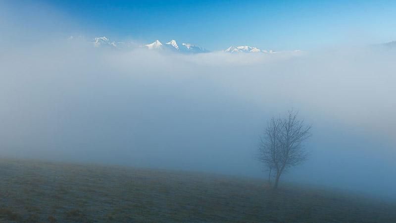 Туристка з Польщі показала магічну красу туману в Карпатах: неймовірні фото
