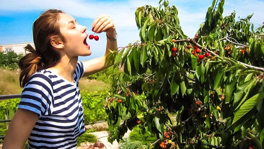 Зірка Голлівуду з України показала архівне фото з Бердянська Зірка Голлівуду з України показала архівне фото з Бердянська