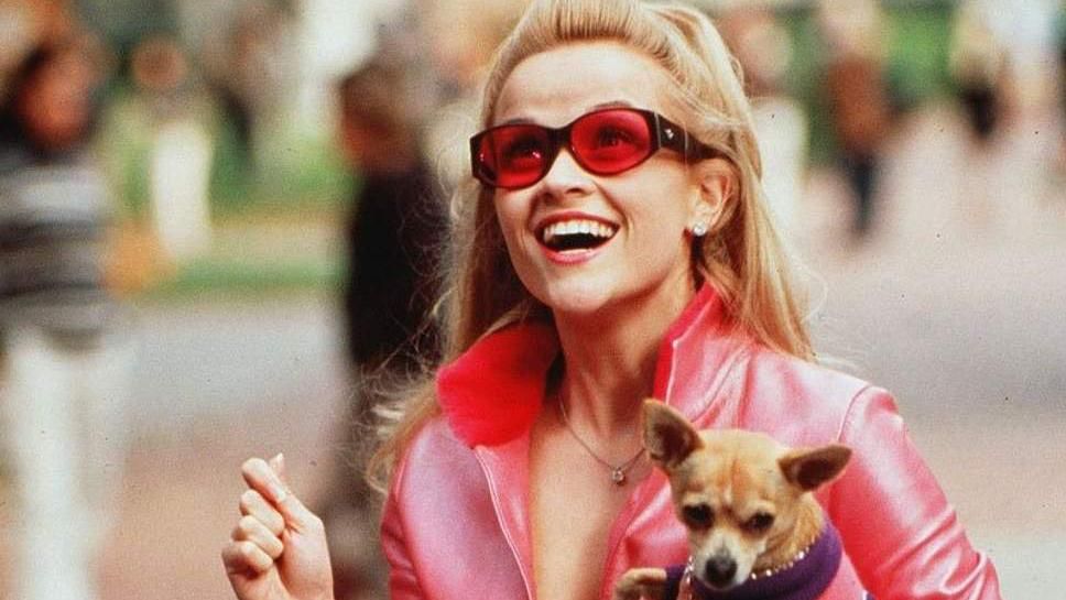 "Білявка в законі" повертається: чи зіграє Різ Візерспун у новому фільмі "Білявка в законі" повертається: чи зіграє Різ Візерспун у новому фільмі