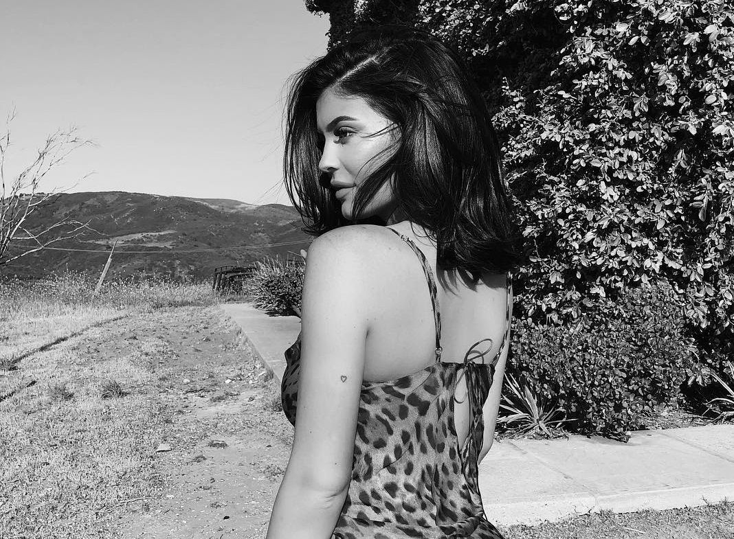 Соблазнительная Кайли Дженнер позировала в леопардовом платье: фото