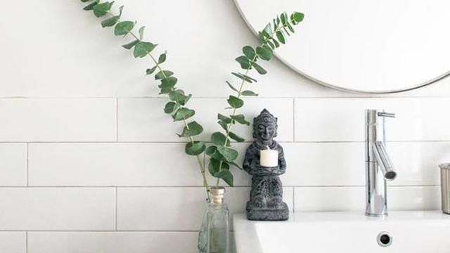 Евкаліпт у ванній: варіанти модного декору Евкаліпт у ванній: варіанти модного декору