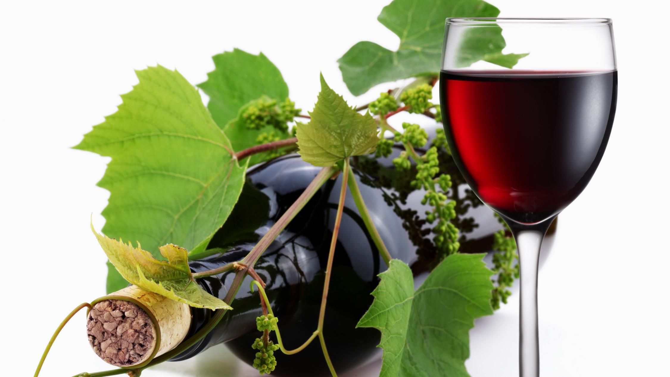 Вино Бастардо - что известно о производстве вина Бастардо